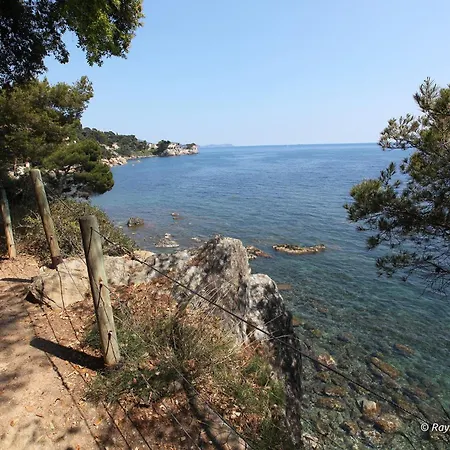 Διαμέρισμα Luxueux Loft A 2 Pas De La Evasion Assuree En Bord Τουλόν